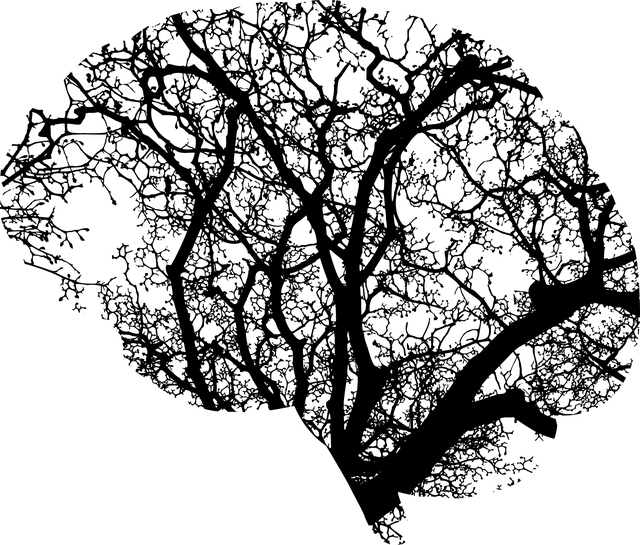 Évaluation neuropsychologique